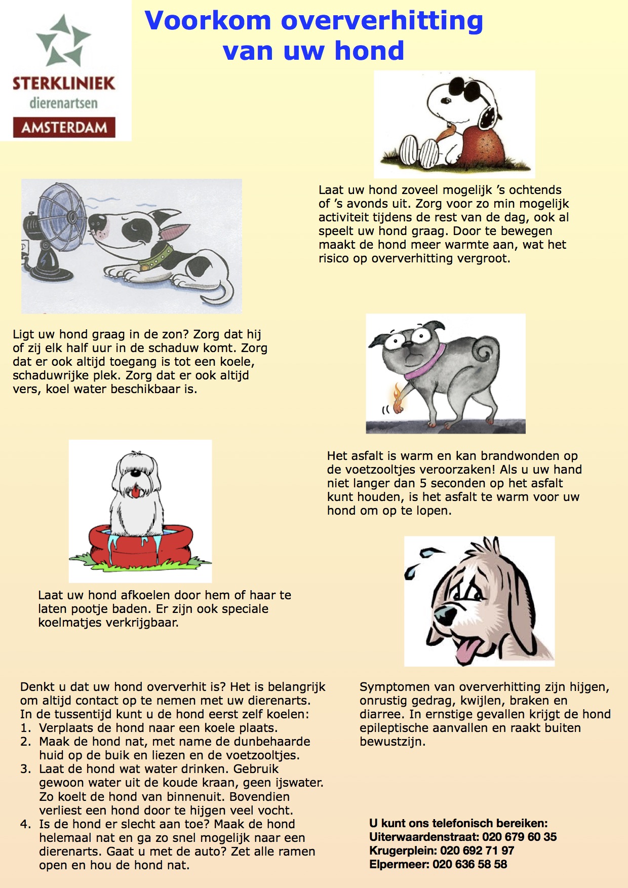 Oververhitting bij honden voorkomen
