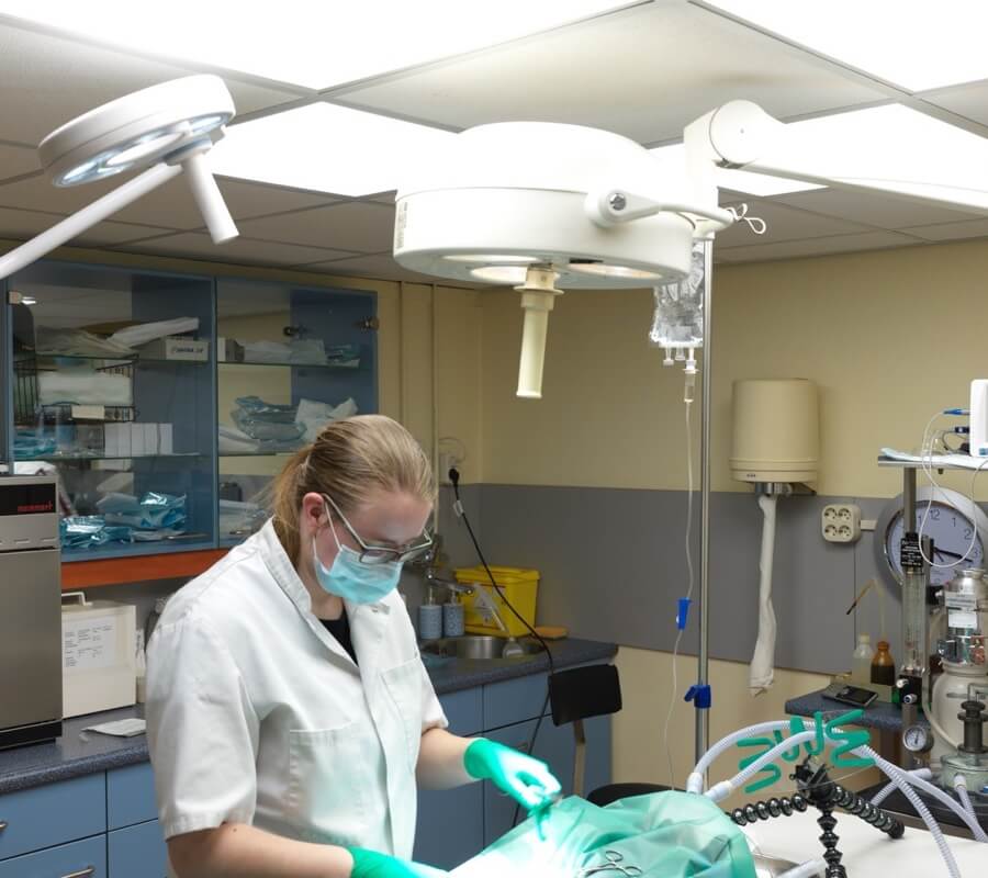 skda-operatie-dier-2-gridhome
